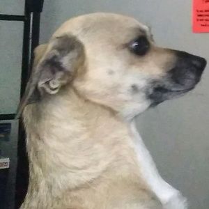 Meet your Posher, Alondra